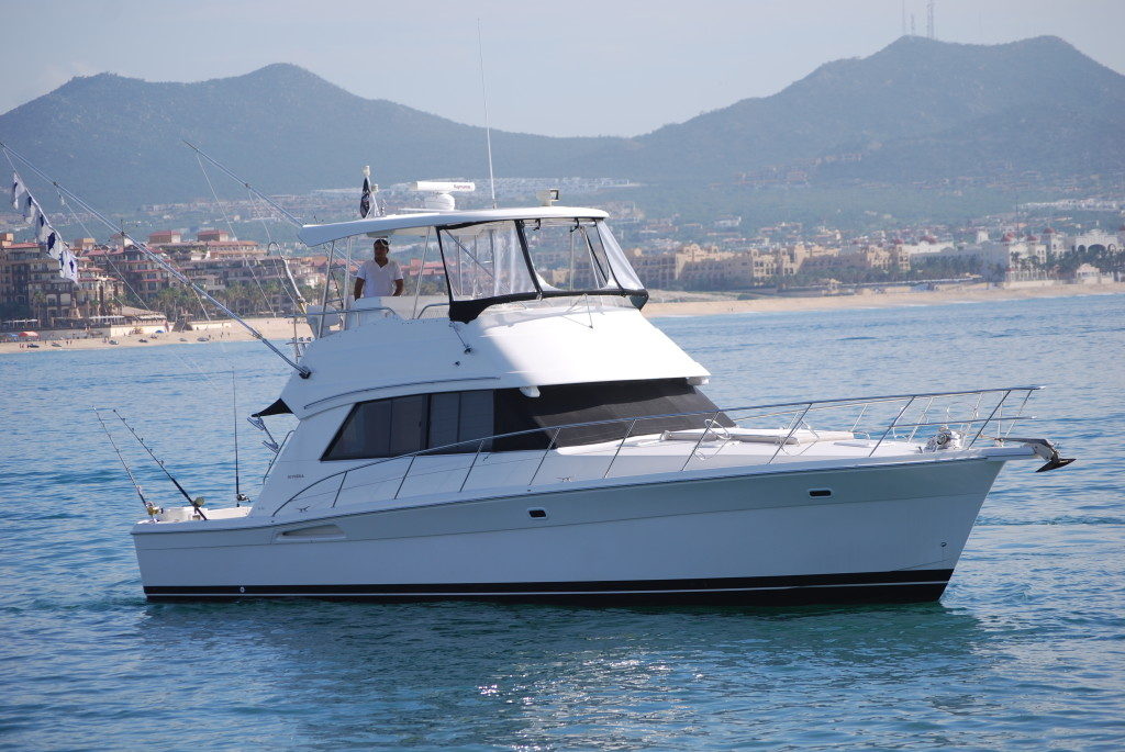 Cabo San Lucas Fishing