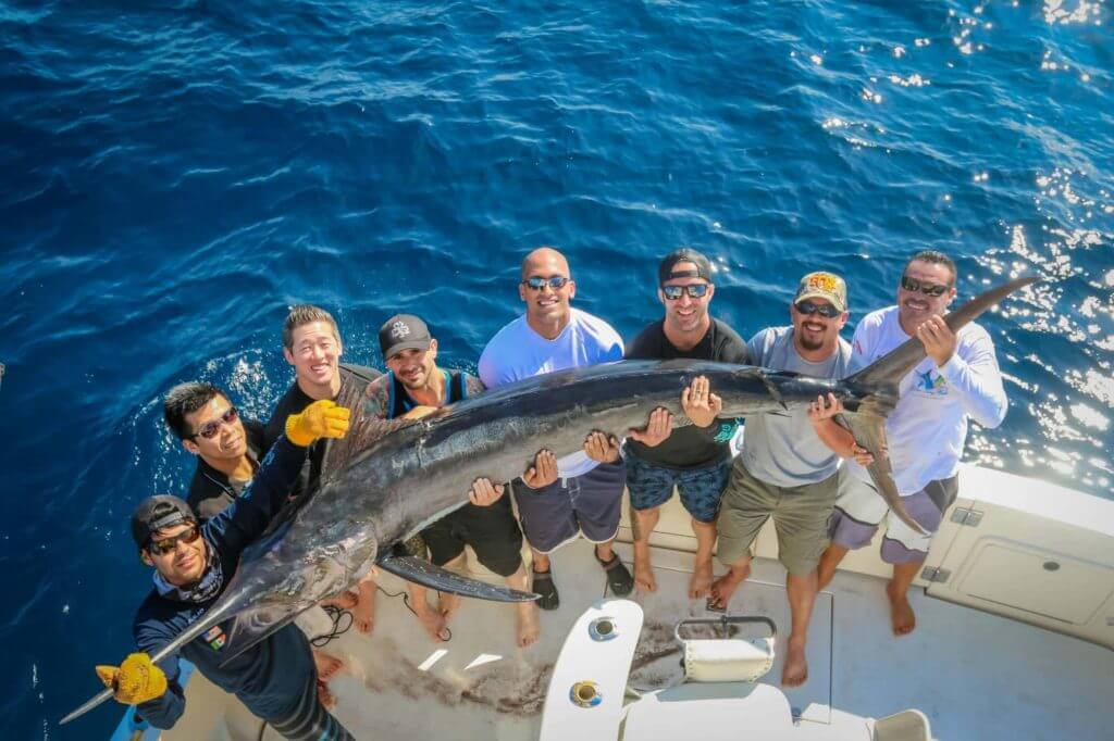 Cabo San Lucas Fishing