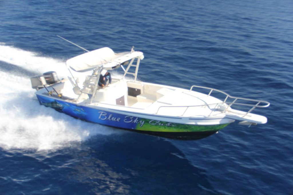 Cabo San Lucas Fishing