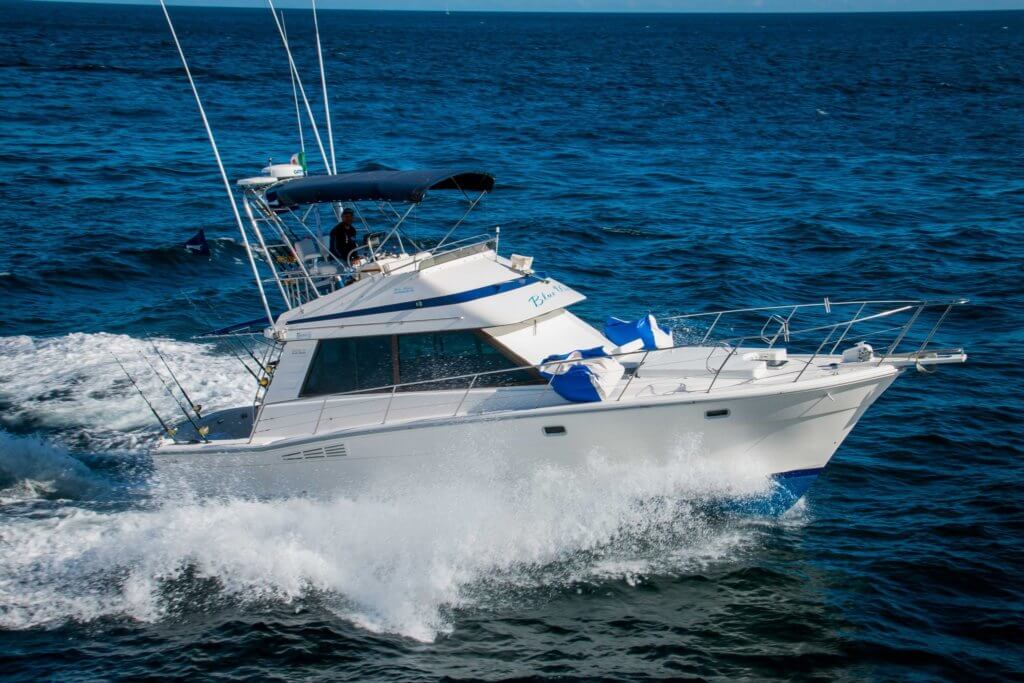 Cabo San Lucas Fishing