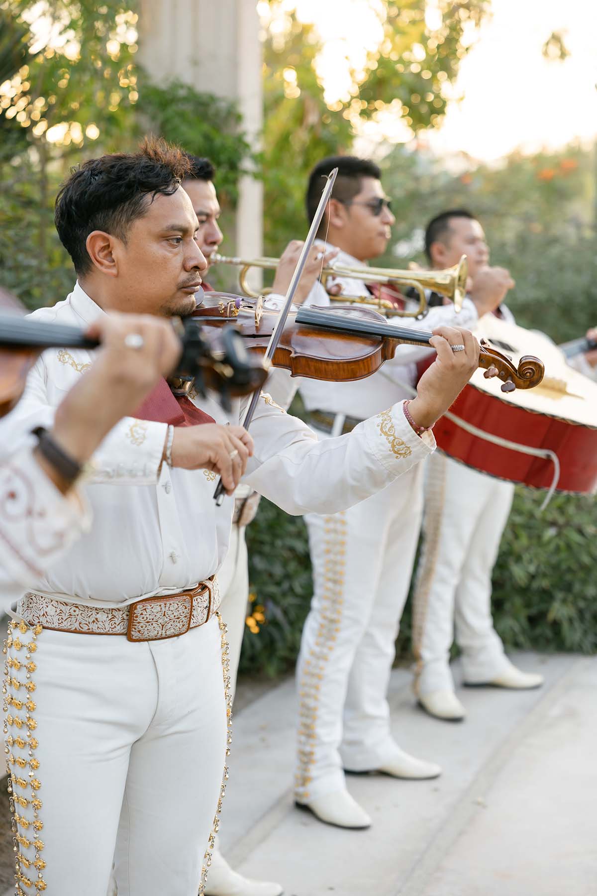 What are the Best Wedding DJ and Live Music Options in Cabo