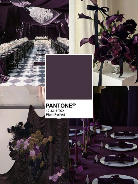 Deep, dramatic, and undeniably romantic—Plum Perfect is making its statement for Fall & Winter weddings

Rich purple tones bring an air of luxury, mystery, and sophistication, especially when paired with black, candlelight, velvet textures, and lush florals. From tablescapes to draping, stationery, and floral design, this moody hue creates an unforgettable atmosphere that feels both editorial and timeless.

The color of the season for couples looking to make a bold, elegant statement. 

#CaboBride #CaboBrideMagazine #WeddingTrends2026 #FallWedding