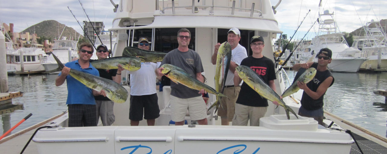 About Cabo San Lucas Fishing