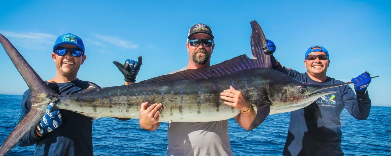 Cabo Sports Fishing Season