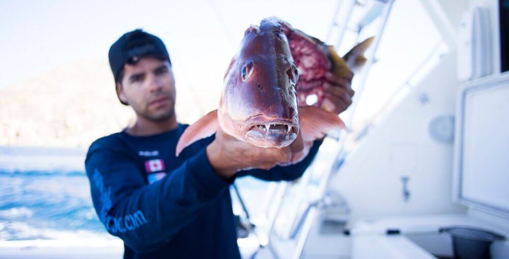 Fishing in Cabo San Lucas Mexico